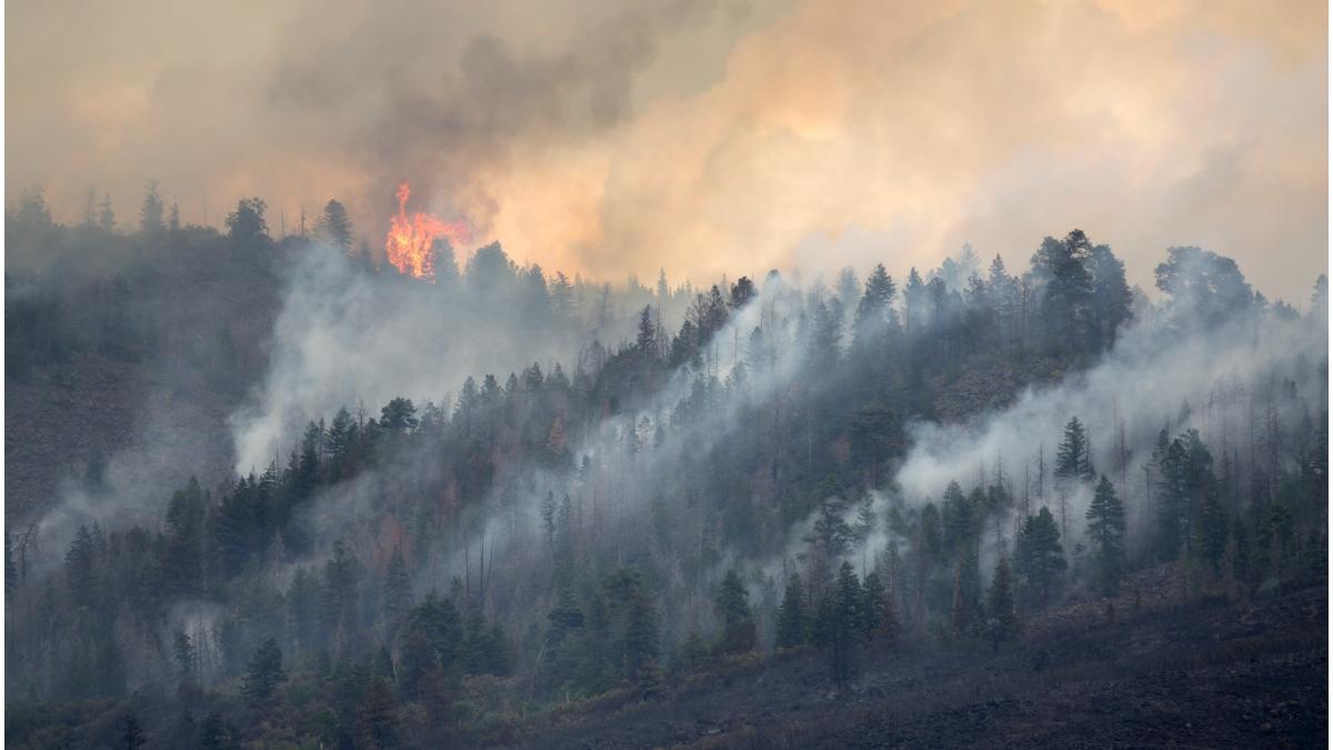 morti canada canicula