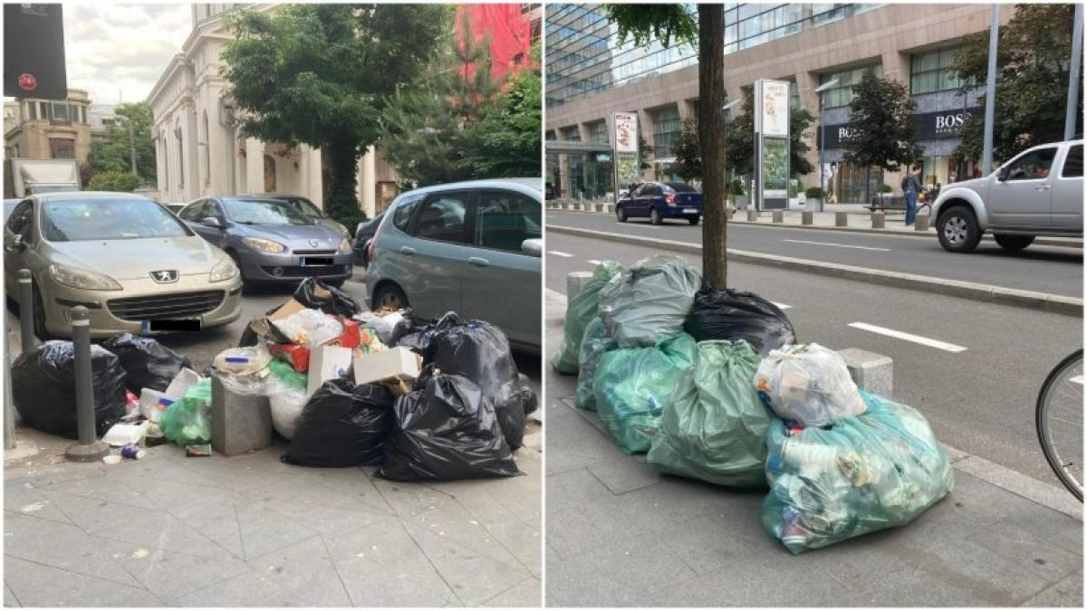 s a ales praful sectorul 1 mizeria troneaza strazi cel mai bogat sector al capitalei