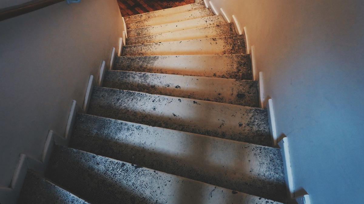 femeie serviciu iasi amendata politia locala a spalat scara bloc