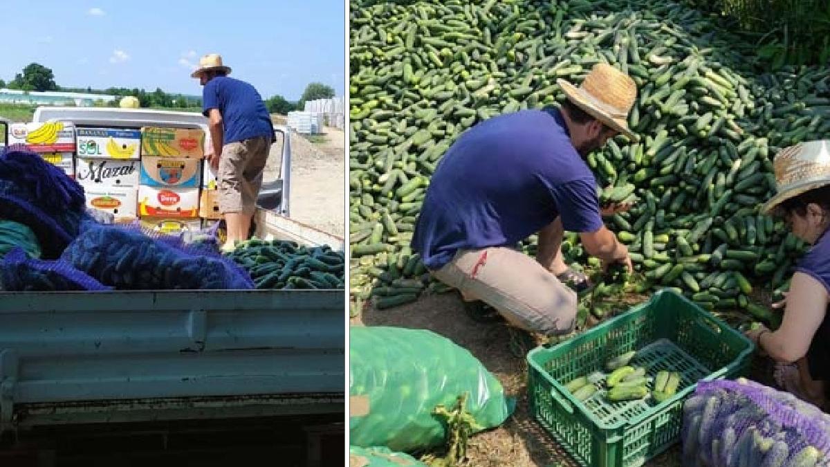 preot slatina castraveti dovlecei camp manastiri