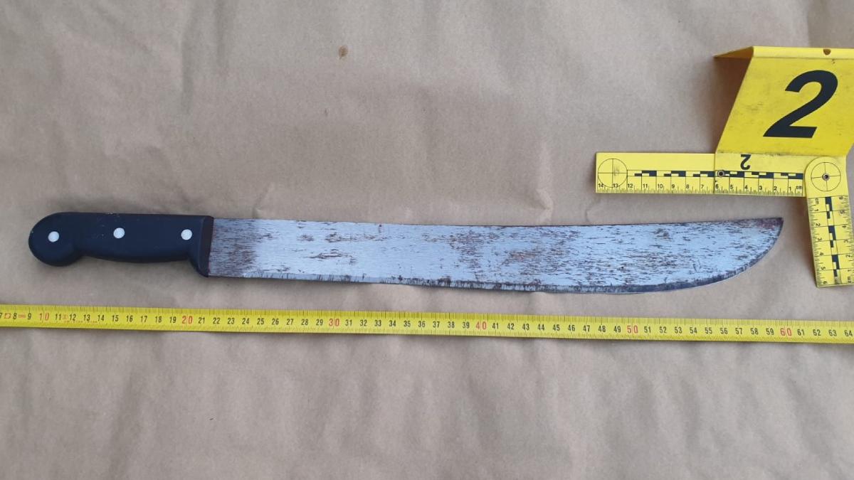 criminalul violator din corbu se drogase toata ziua transat victima cu maceta