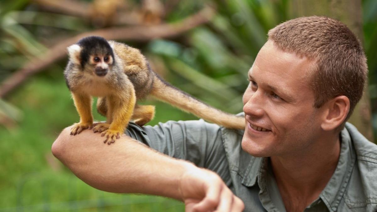 o gradina zoologica a inceput vaccinarea anti covid a animalelor cu un tratament experimental in sua