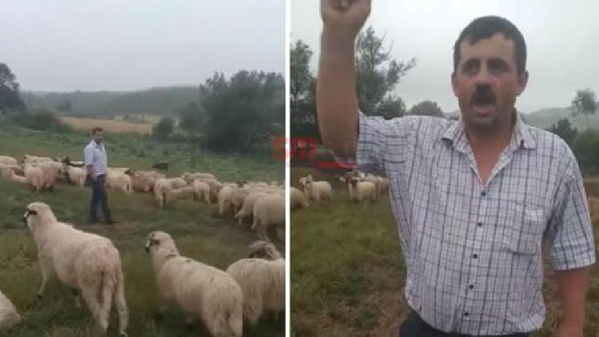 fermier satu mare apel autoritati subventii ferma