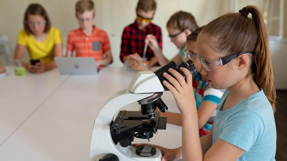 scoala de vara gratuita copii tineri activitati recreationale educative