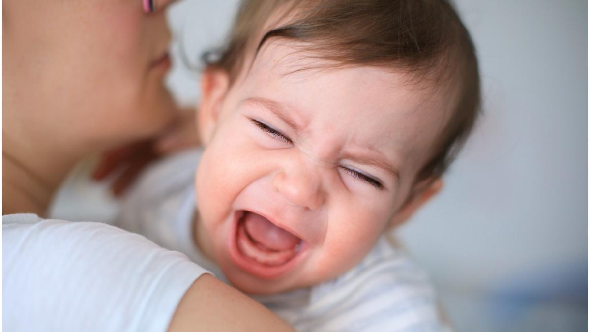 disneyland paris scuze alaptare public