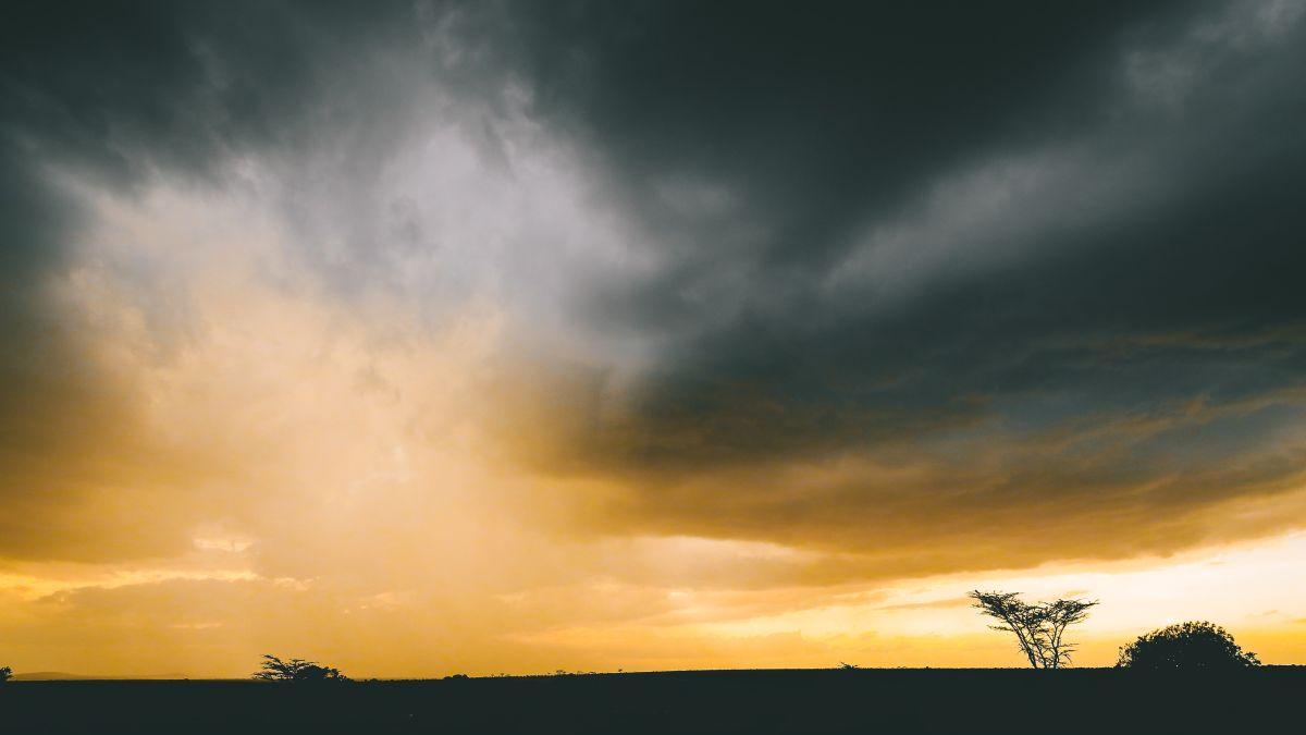 cod galben canicula ploi 8 iulie