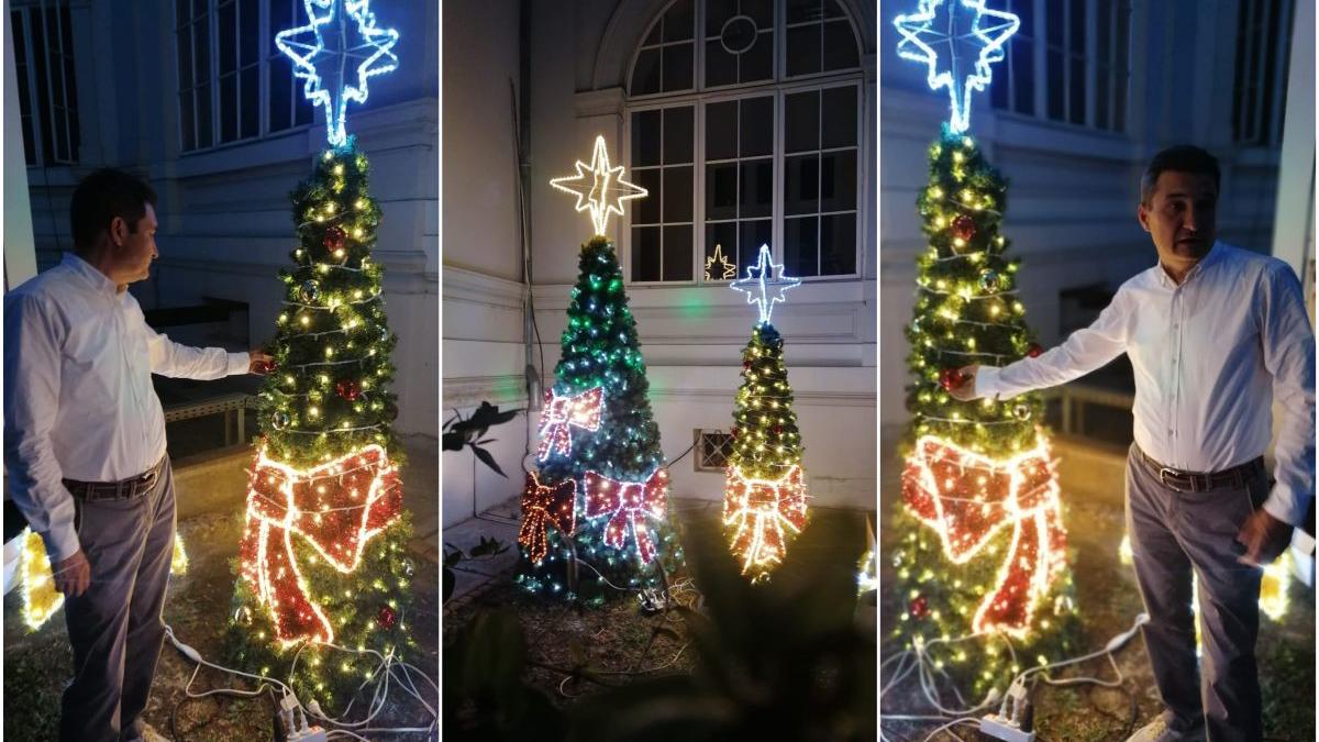 primar arad achizitie brad craciun