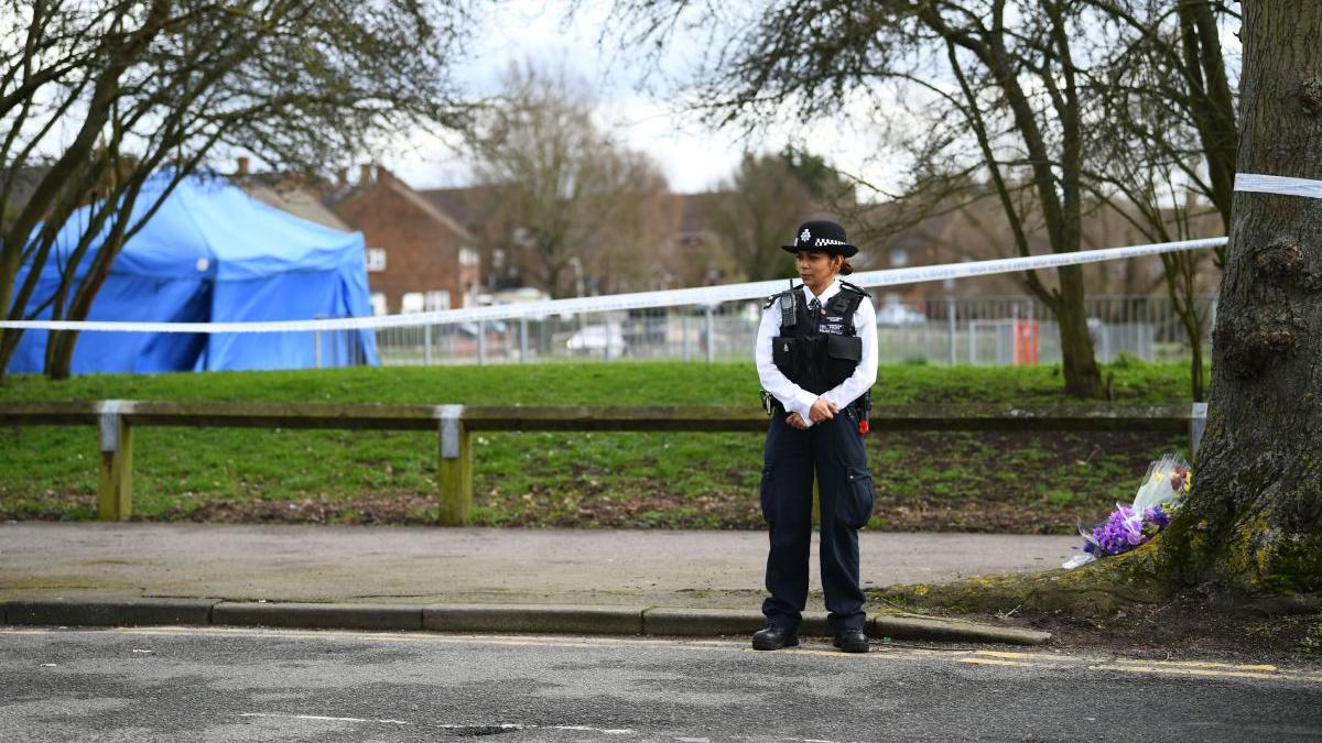 roman impuscat politisti germania gradina publica