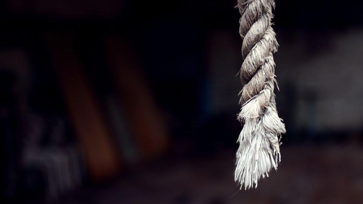 barbat gasit spanzurat gard gradina botanica galati