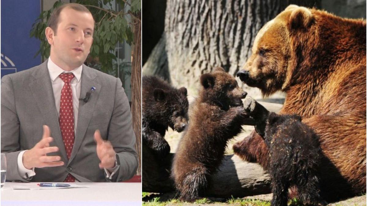 comisar european mediu virginijus sinkevicius romania cea mai mare populatie ursi europa