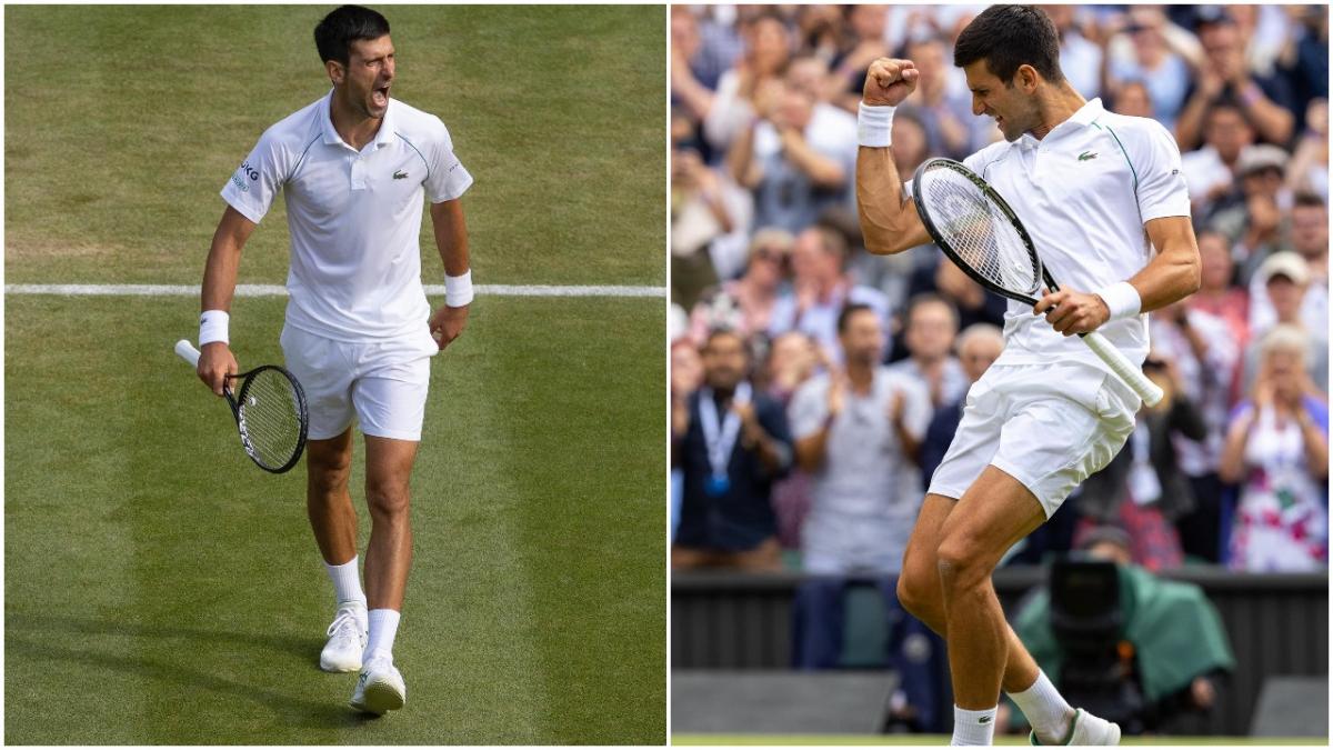 novak djokovic wimbledon victorie tenismen grand slam cariera