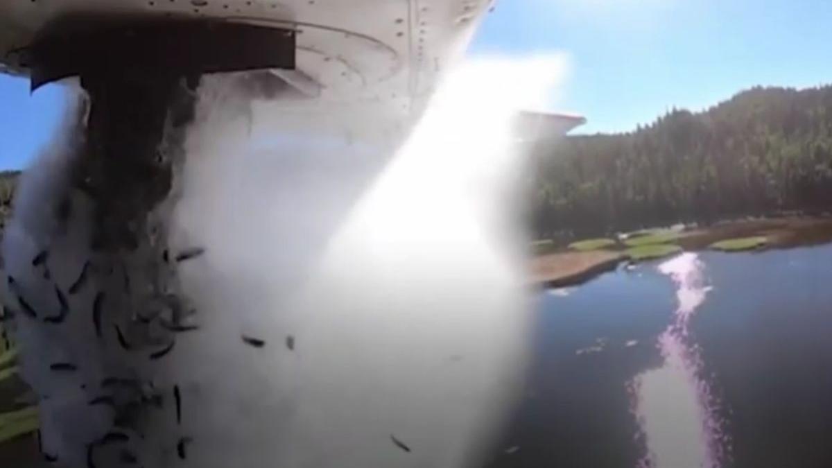 pesti utah repopulare lacuri