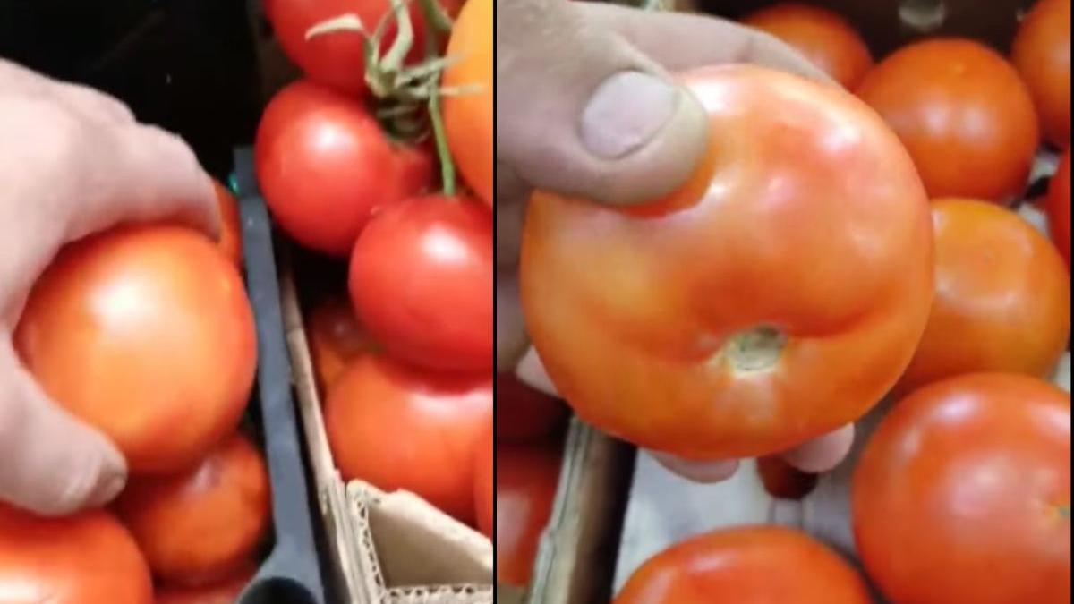 rosii turcesti eticheta rosii romanesti acuze fermieri