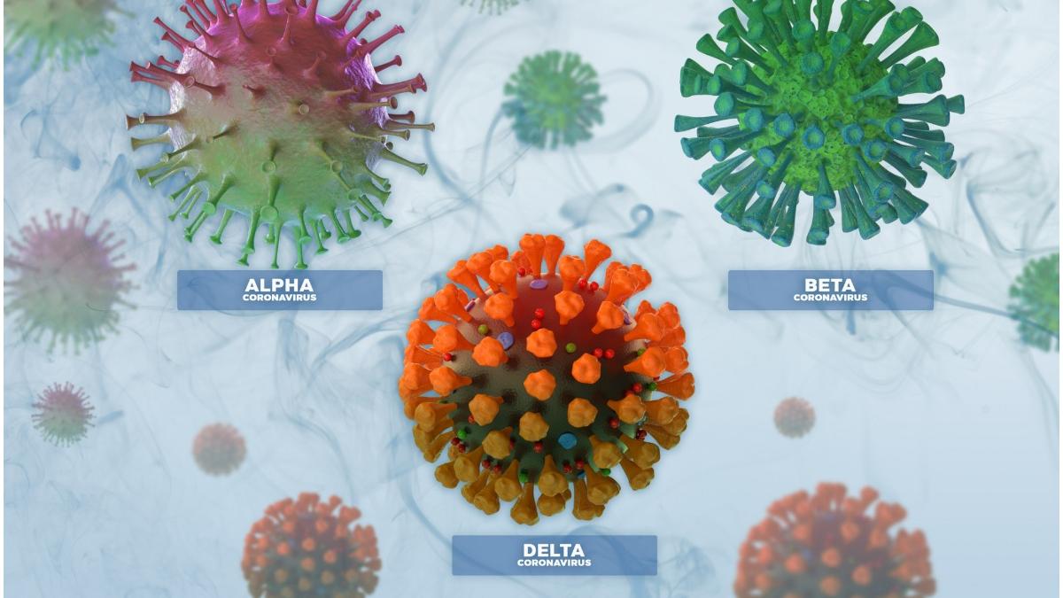 bilant coronavirus varianta delta romania