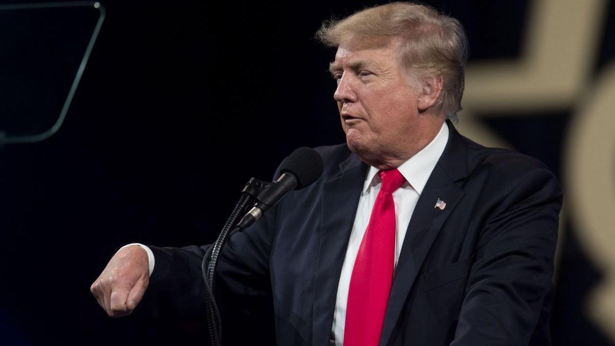 donald trump bunker george floyd tradator michal bender