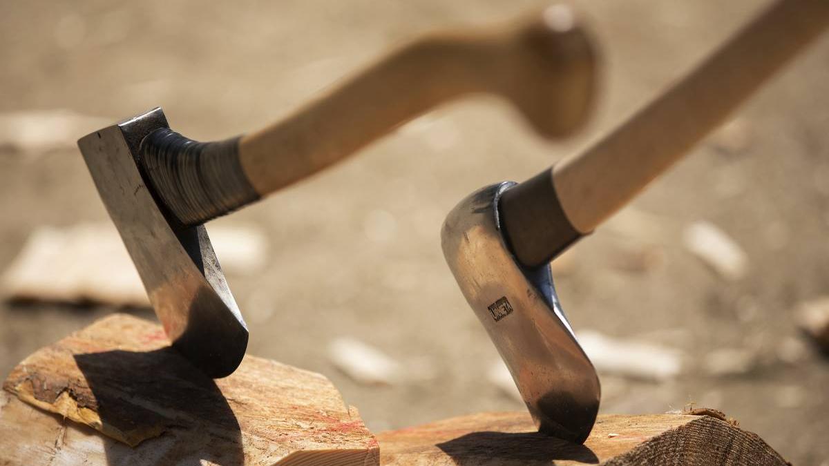 razbunare apriga topor barbat 26 ani retinut