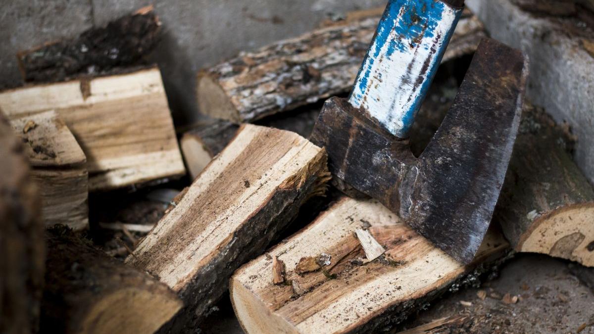 barbat mort condamnat inchisoare taiat lemne padure mama bolnava