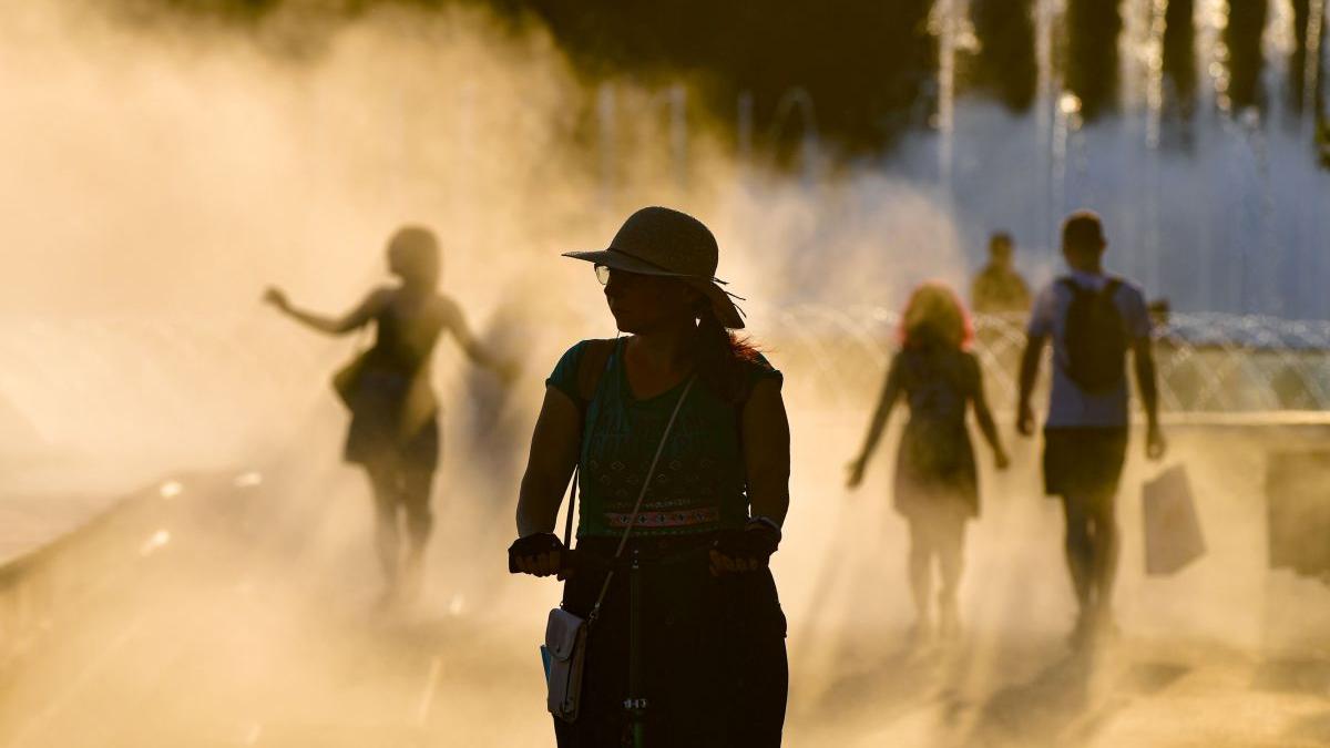 bestia africana val de canicula praf saharian romania