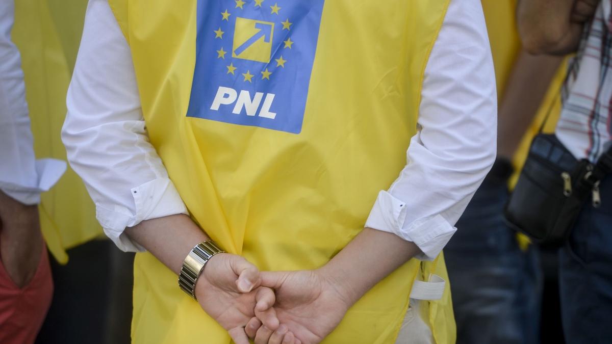 dosar penal spaga data alegerile pnl sectorul 3 dezvaluiri antena 3