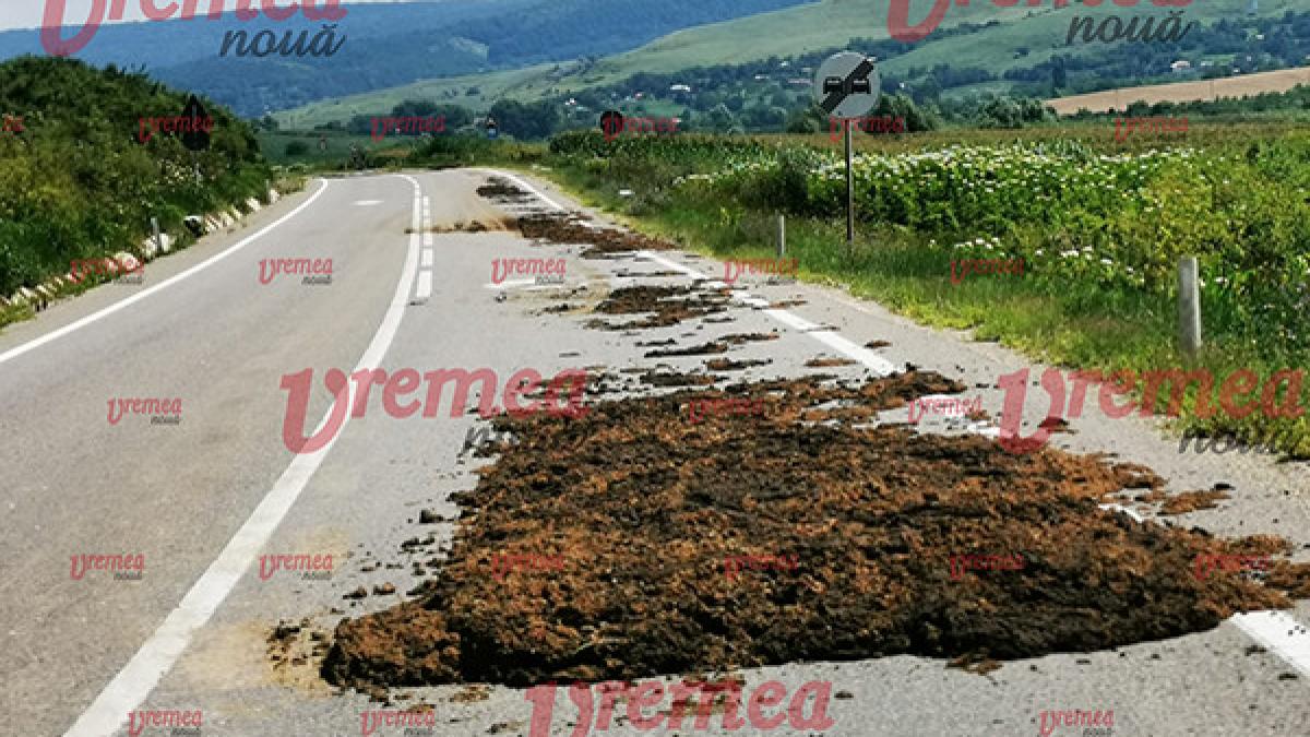 gainat de 581 albita