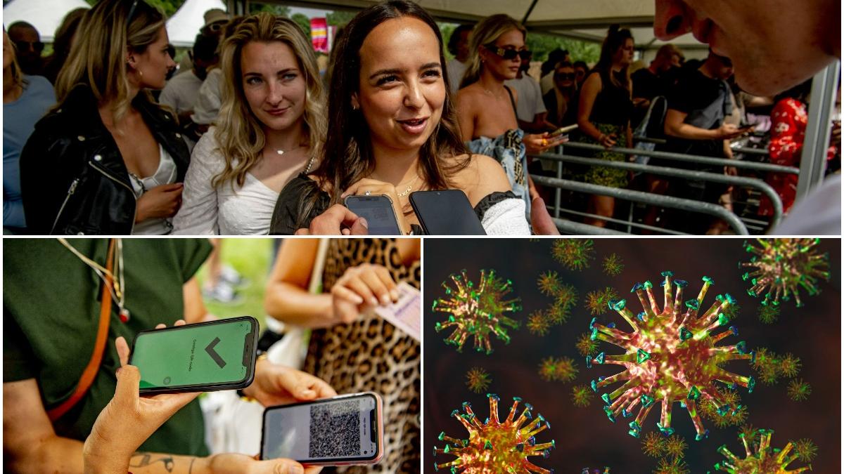 infectare festival focar covid