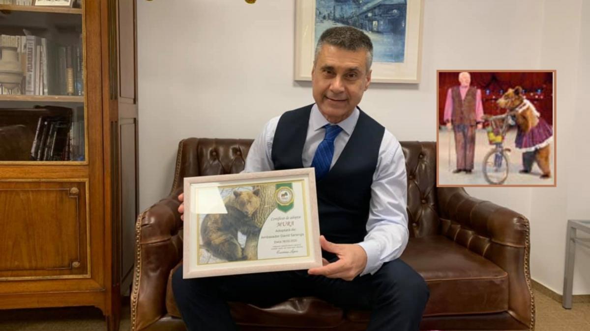 mura ursoaica circ adoptata ambasador david saranga