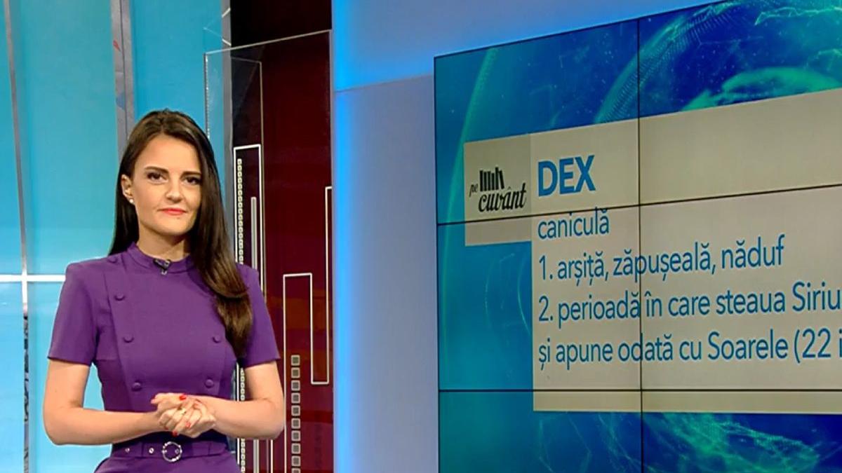 canicula etimologie cuvant ana iorga