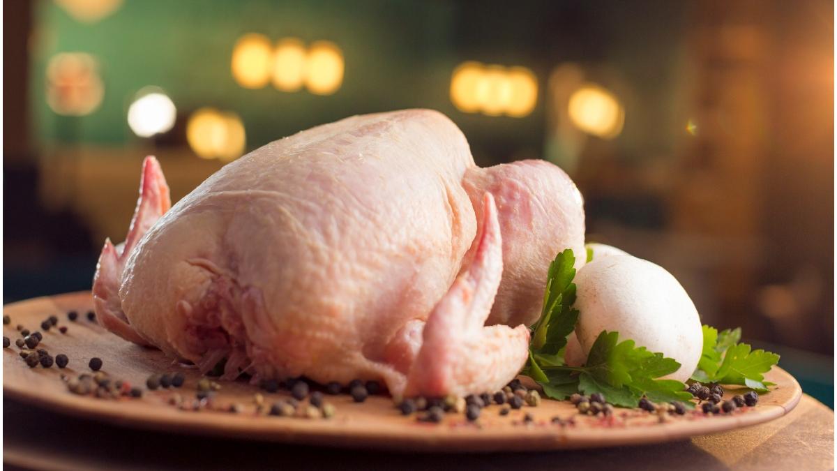 carne pui salmonella polonia