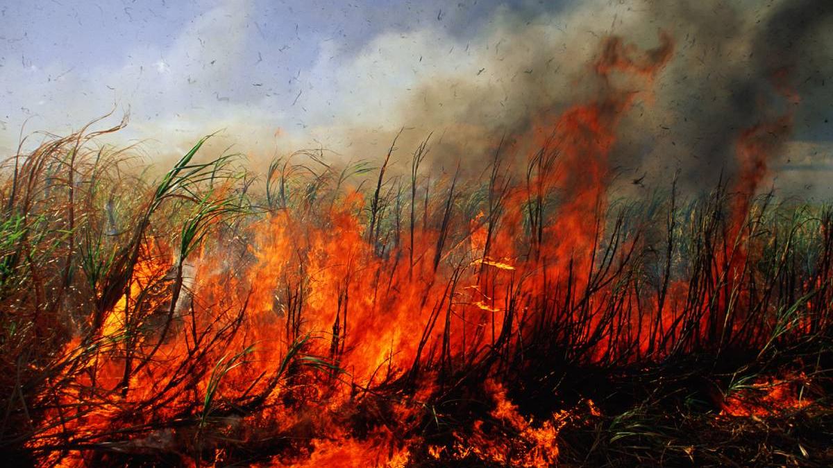 recolta grau distrusa recheta antigrindina incendiu