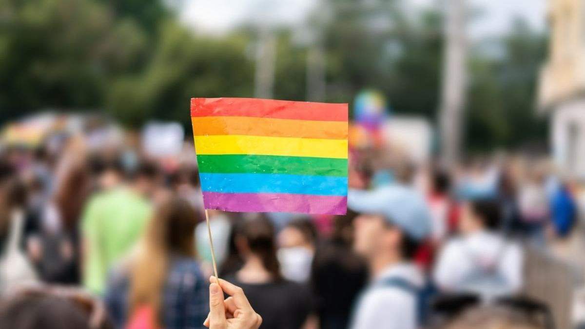 ue drepturi lgbtiq actiuni instanta ungaria polonia
