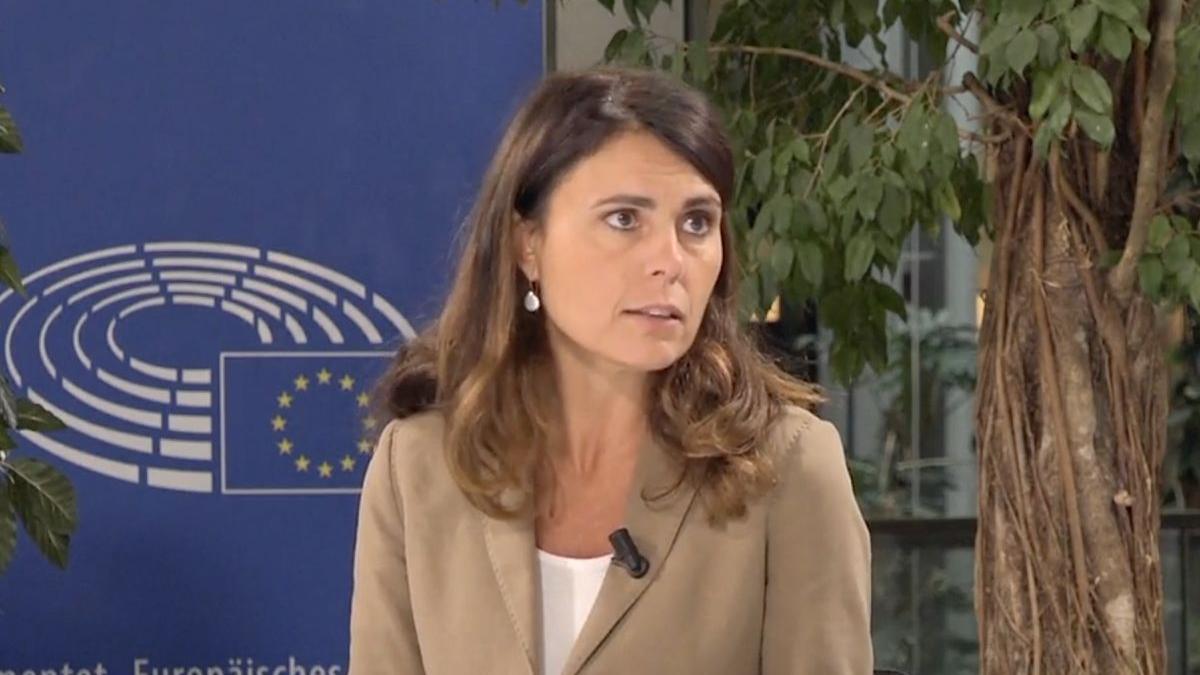 simona bonafe despre pnrr