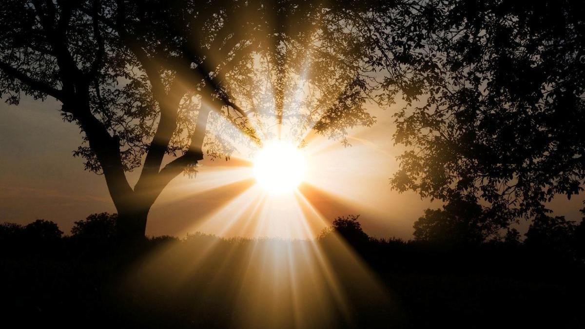 cod rosu canicula romania alerta meteo temperaturi peste 40 grade