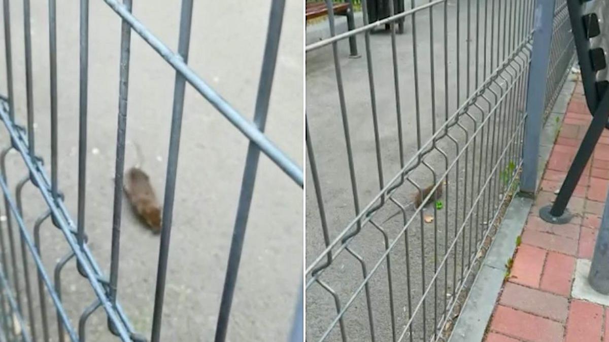 parc sobolani sector 6