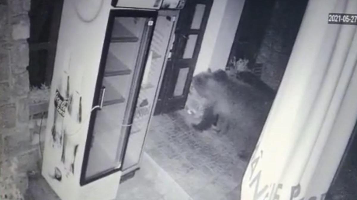 ursoaica pui restaurant baile tusnad