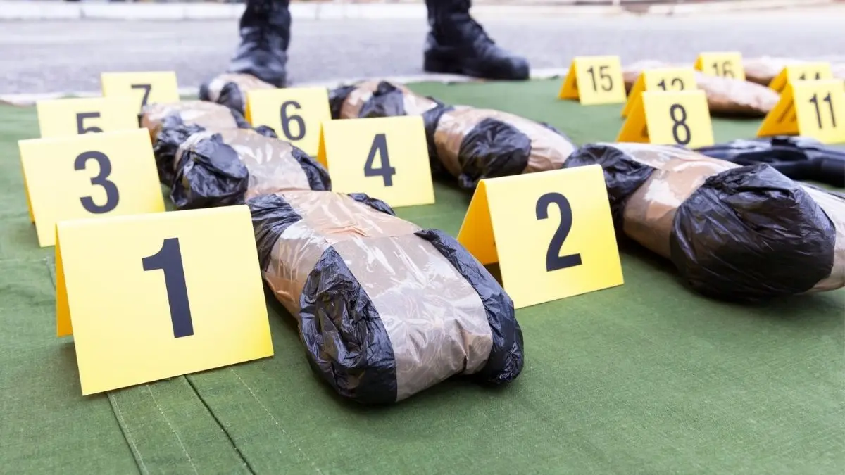 tone cocaina confiscate captura record 2021 costa rica
