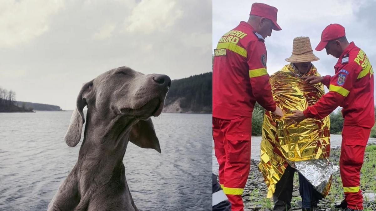 barbat bistrita nasaud salvat caine