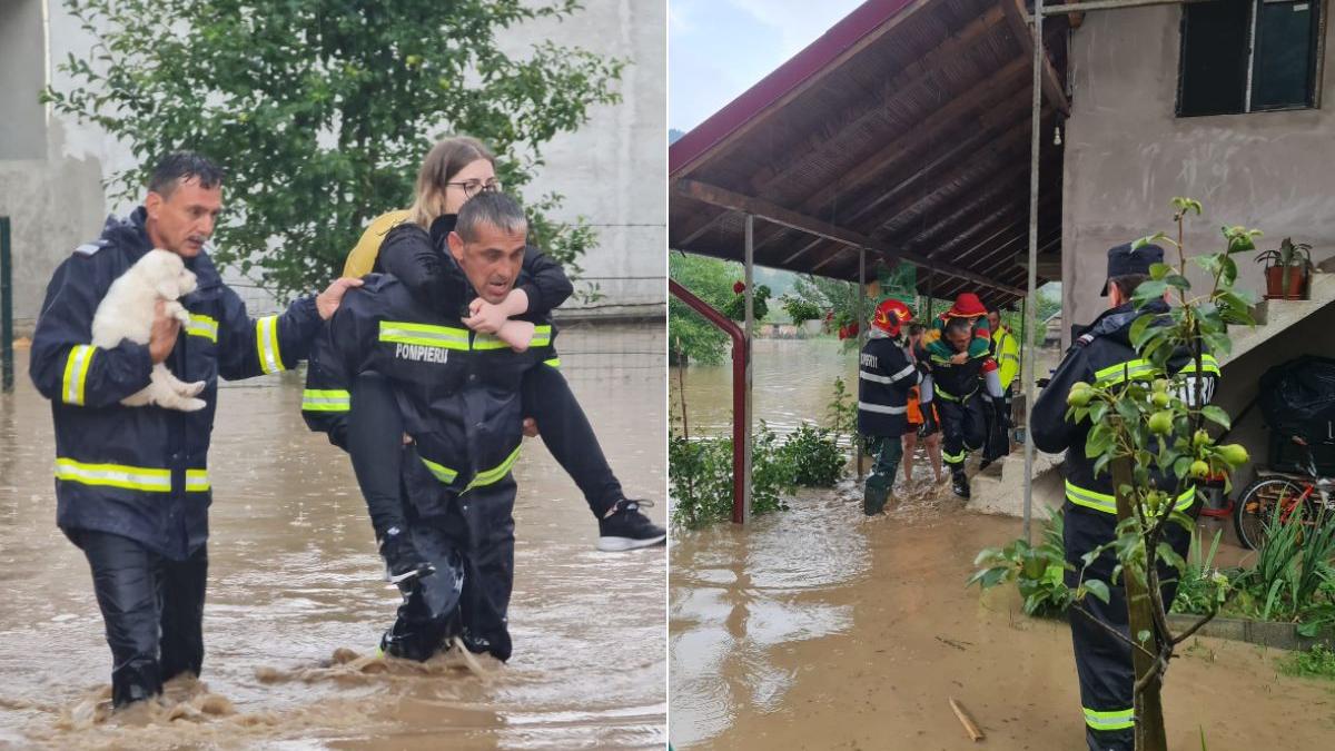 batrani animale pompieri viituri alba