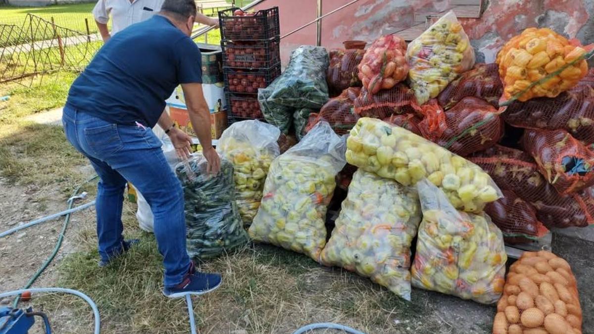 fermierii din olt strans tone de legume plecat alba ajutoare sinistrati