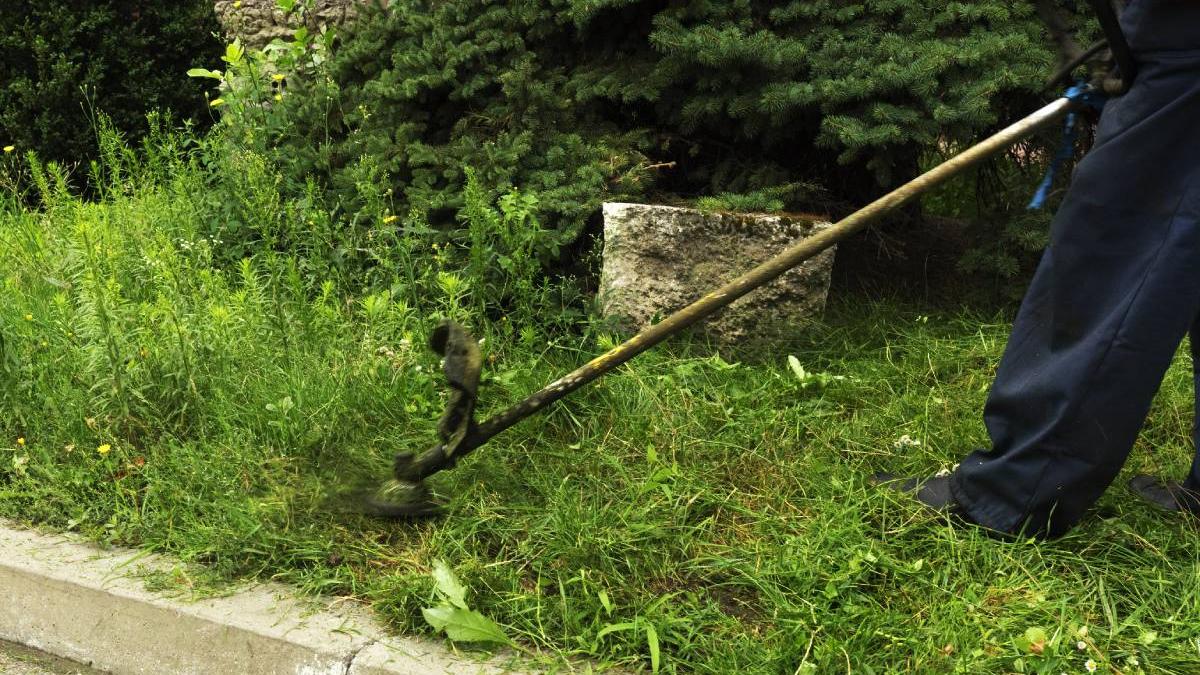 sportiva 19 ani atacata motocoasa busteni