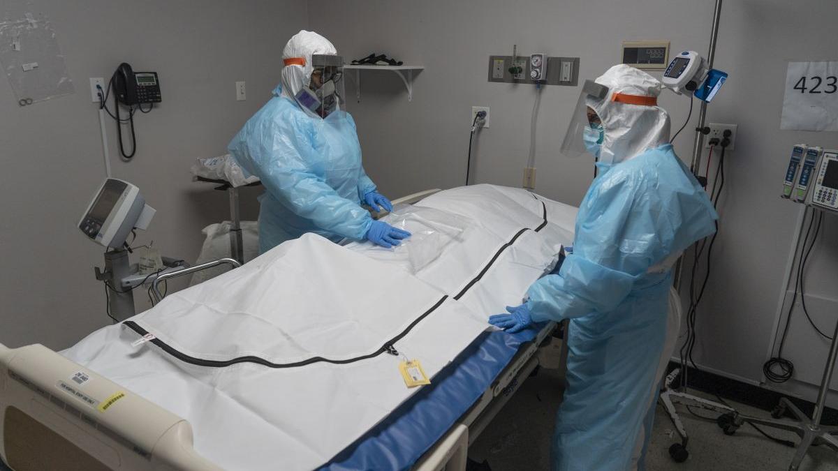 saci pentru cadavre canicula sua insolatie renton seattle