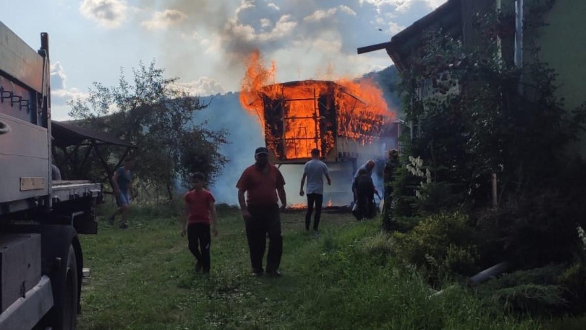 72 de stupi albine miere ceara au ars maramures
