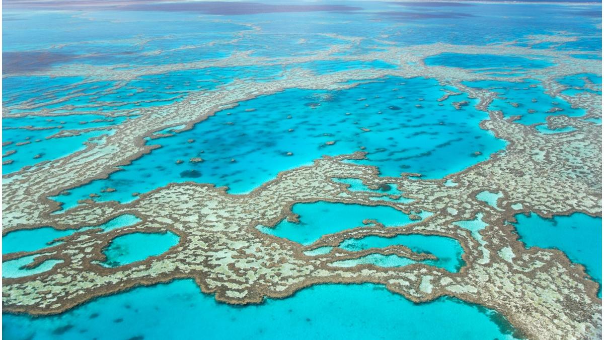 australia evita inscrierea marii bariere corali patrimoniu unesco