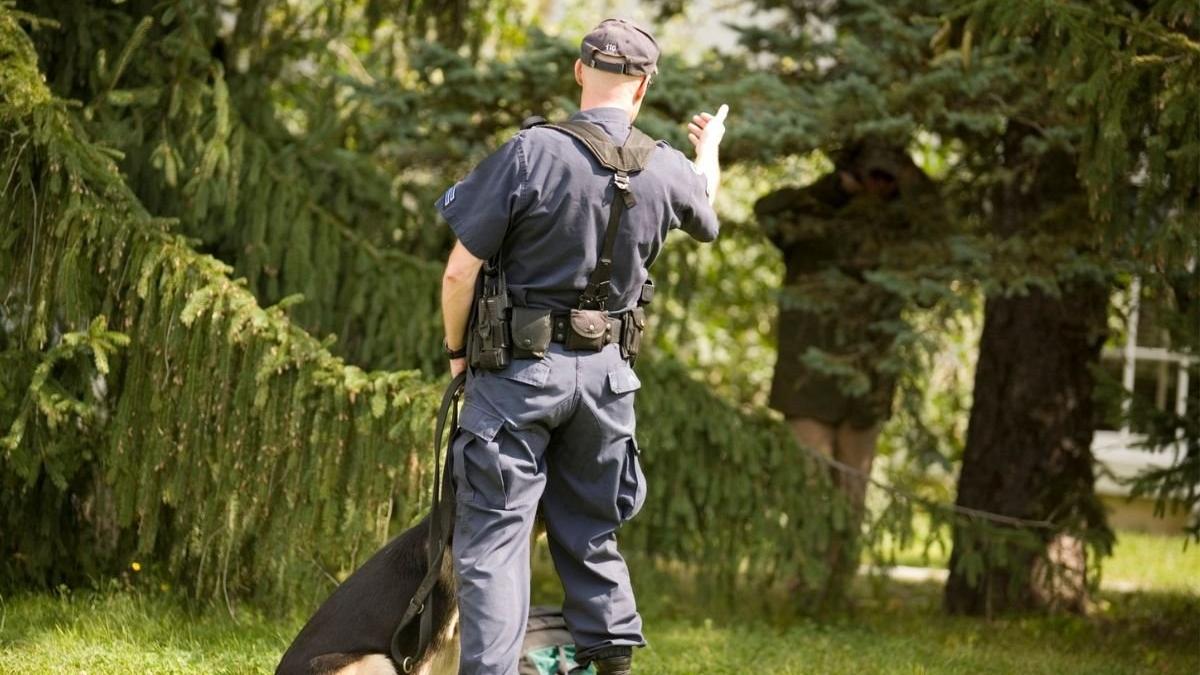 autoritatile considera ca ramasitele unui adolescent disparut au fost gasite la trei ani dupa o