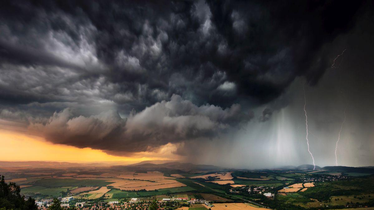 barbat copil loviti trasnet padure suceva cod galben furtuna