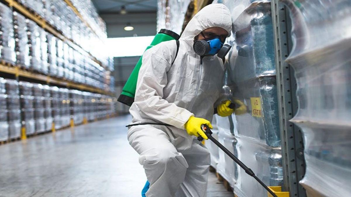 profesional3dderatizare ro firma de dezinsectie profesionista