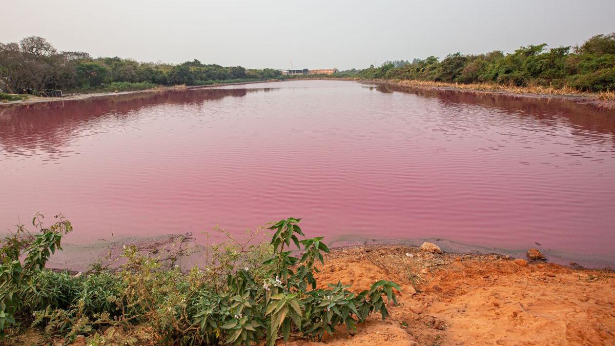 laguna patagonia argentia sulfit de sodiu creveti lada micheloud chubut