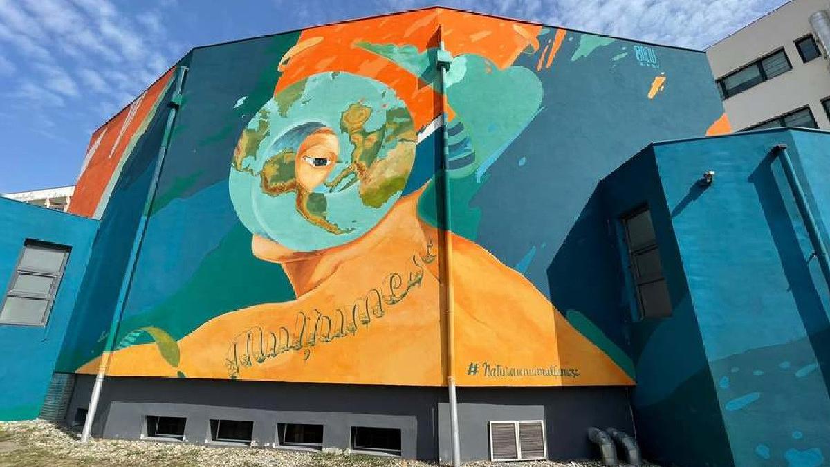 o pictura murala din timisoara purifica aerul la fel ca o padure de 100 mp