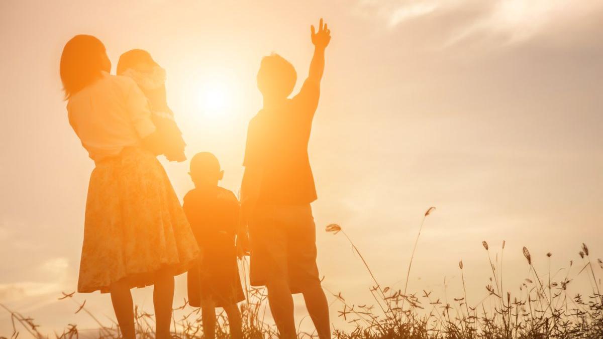 procedura adoptie simpla