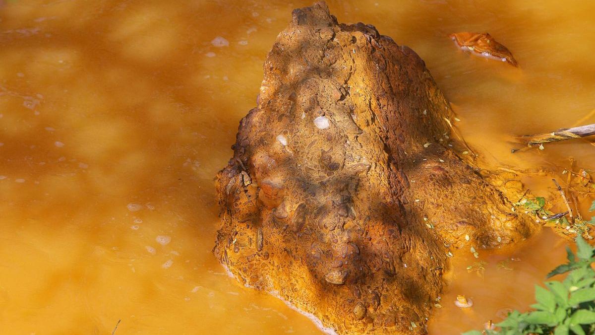 rosia montana inclusa patrimoniu mondial unesco