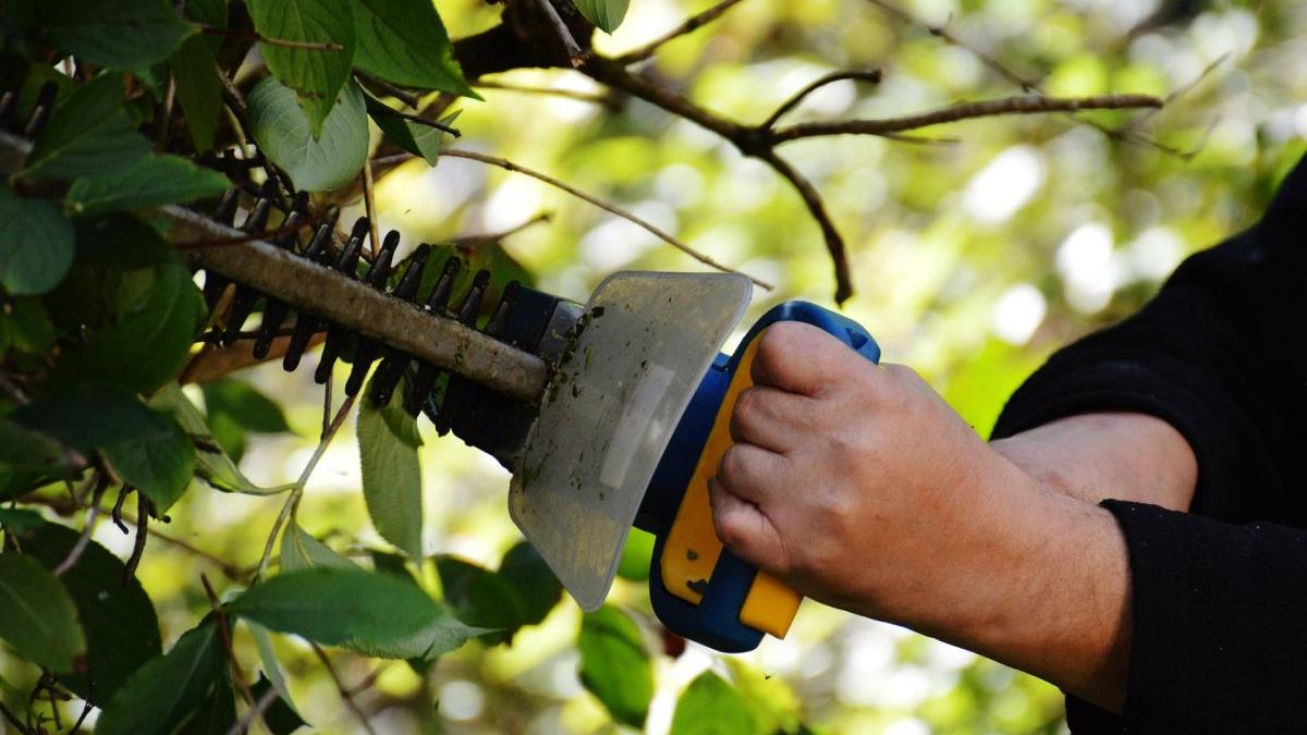 barbat hunedoara jefuit tundea gard viu fata blocului